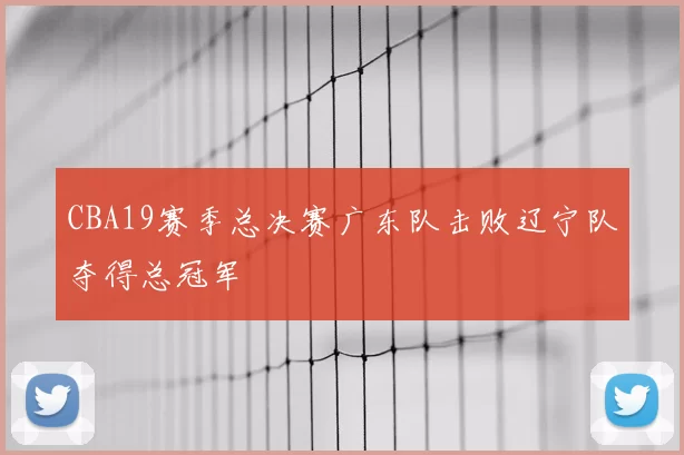 CBA19赛季总决赛广东队击败辽宁队夺得总冠军