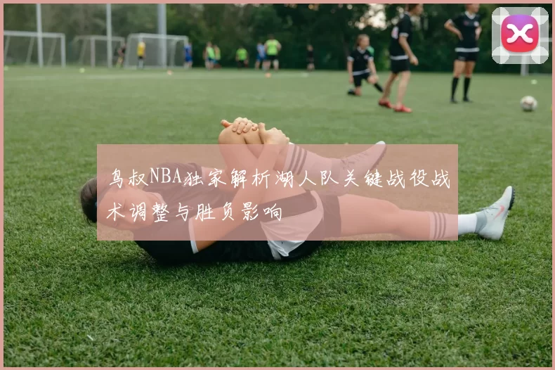 鸟叔NBA独家解析湖人队关键战役战术调整与胜负影响