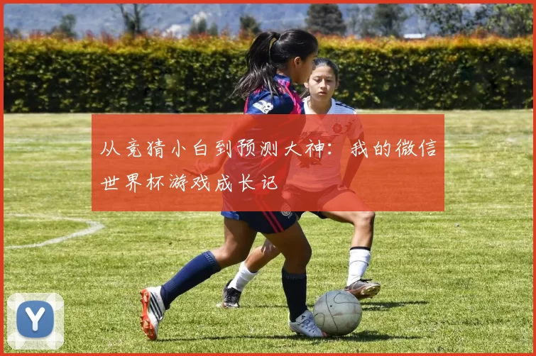 从竞猜小白到预测大神：我的微信世界杯游戏成长记