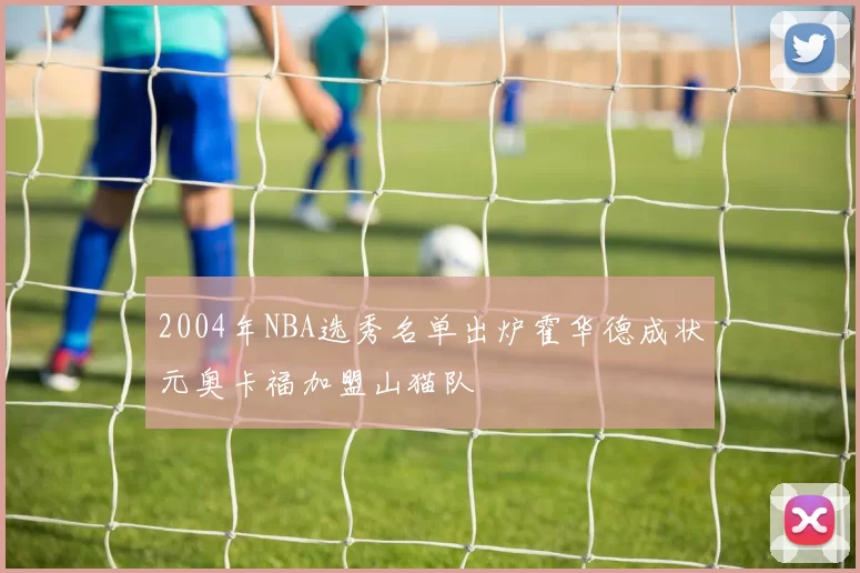 2004年NBA选秀名单出炉霍华德成状元奥卡福加盟山猫队
