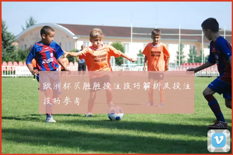 欧洲杯买胜胜投注技巧解析及投注技巧参考