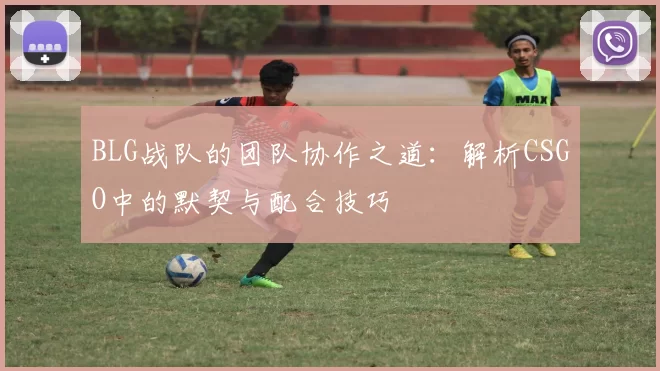 BLG战队的团队协作之道：解析CSGO中的默契与配合技巧
