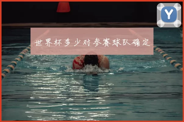 世界杯多少对参赛球队确定