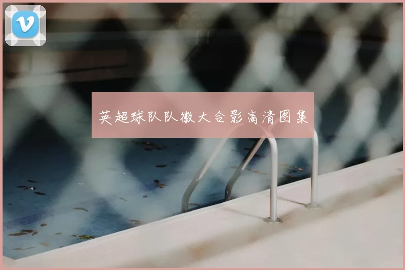 英超球队队徽大合影高清图集