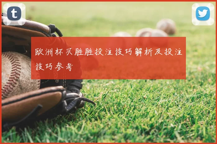 欧洲杯买胜胜投注技巧解析及投注技巧参考