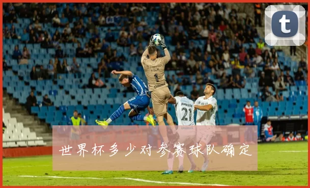 世界杯多少对参赛球队确定