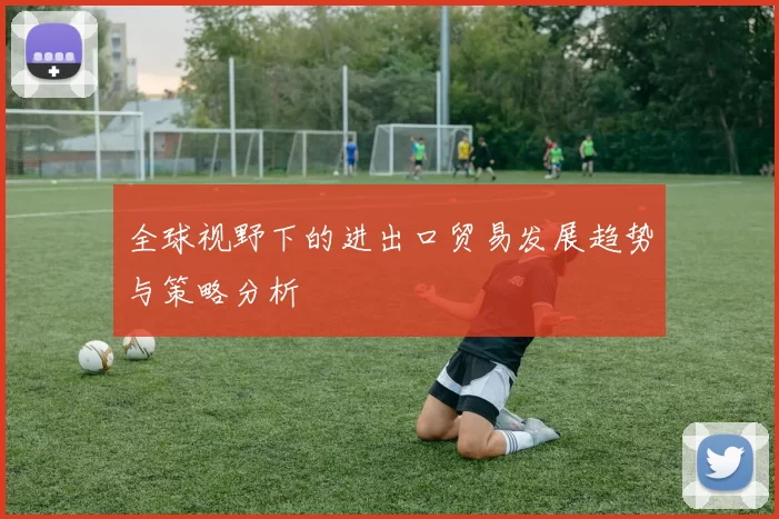 全球视野下的进出口贸易发展趋势与策略分析