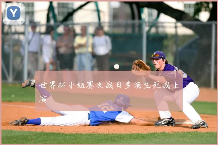世界杯小组赛决战日多场生死战上演