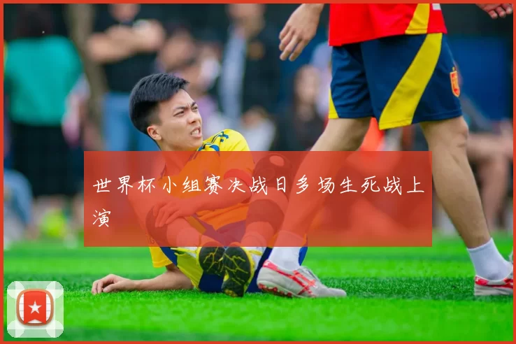 世界杯小组赛决战日多场生死战上演