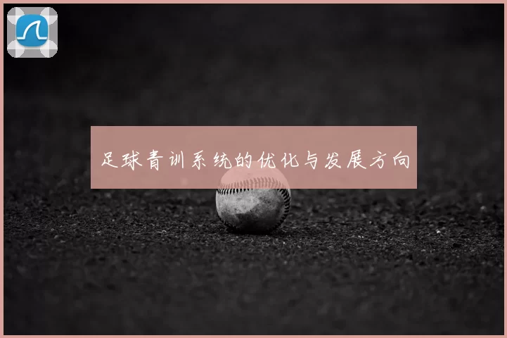 足球青训系统的优化与发展方向