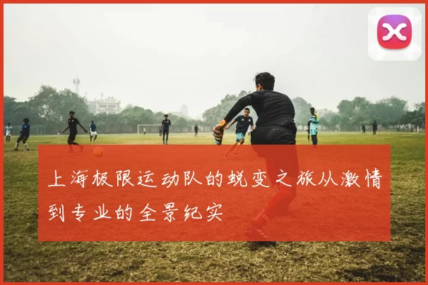 上海极限运动队的蜕变之旅从激情到专业的全景纪实
