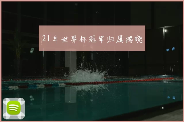 21年世界杯冠军归属揭晓