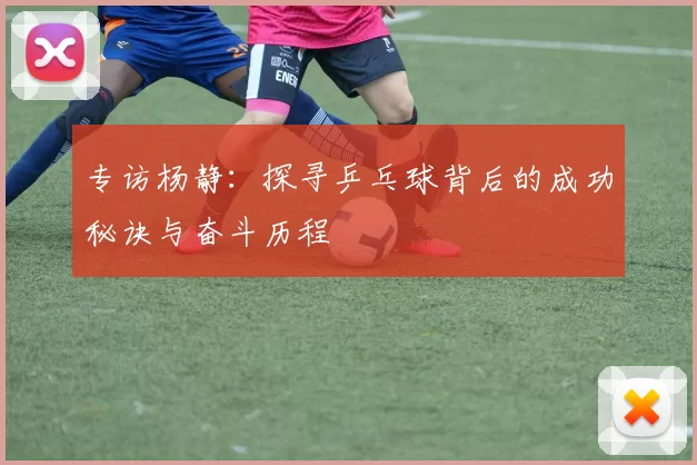 专访杨静：探寻乒乓球背后的成功秘诀与奋斗历程