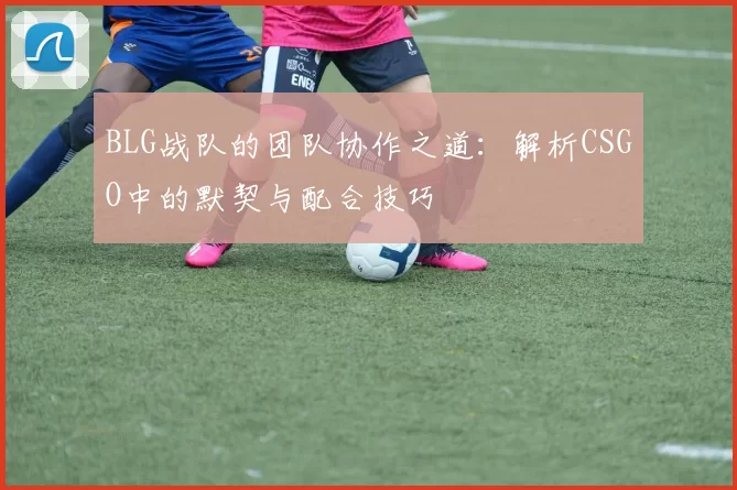 BLG战队的团队协作之道：解析CSGO中的默契与配合技巧