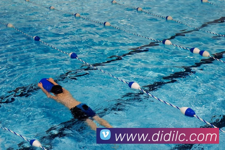 App Interface Preview